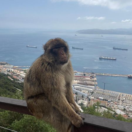 Jardines Apartment Sitio de Calahonda Εξωτερικό φωτογραφία