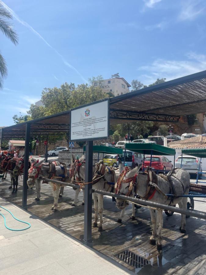 Jardines Apartment Sitio de Calahonda Εξωτερικό φωτογραφία