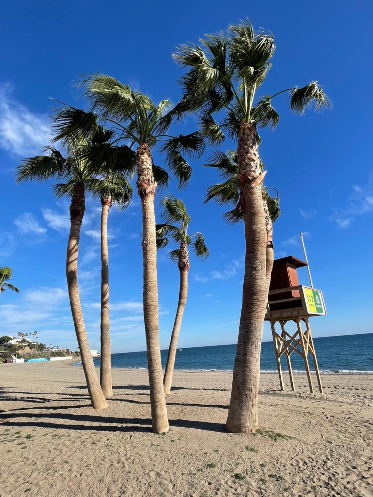 Jardines Apartment Sitio de Calahonda Εξωτερικό φωτογραφία